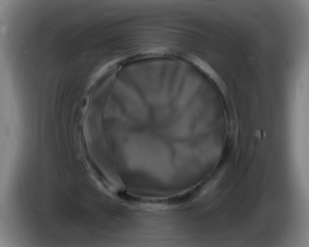 X0000085280577200703301918