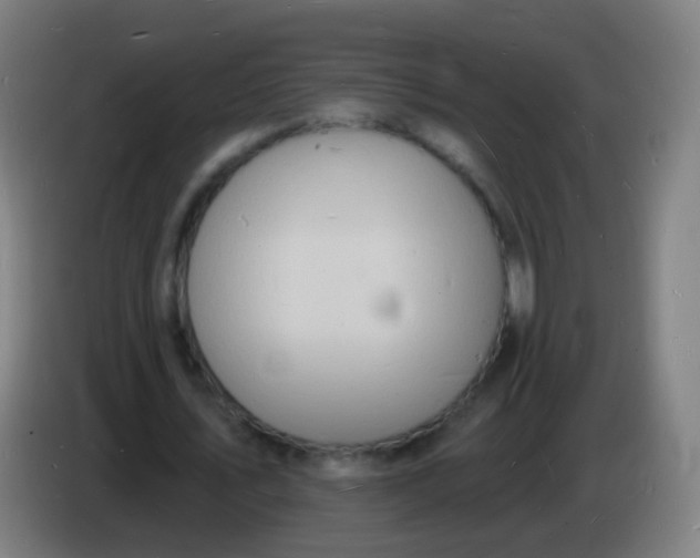 X0000085280579200703301918