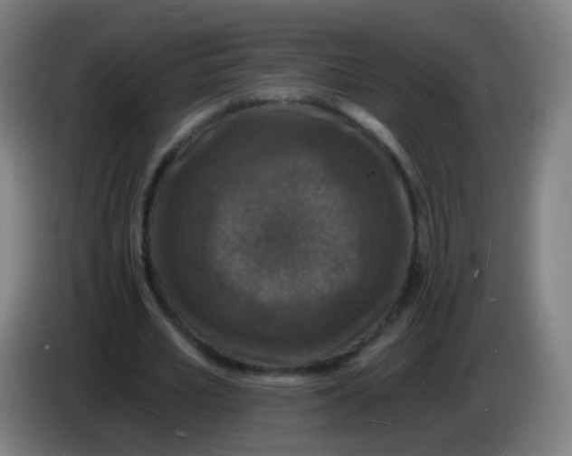 X0000085280581200703301918