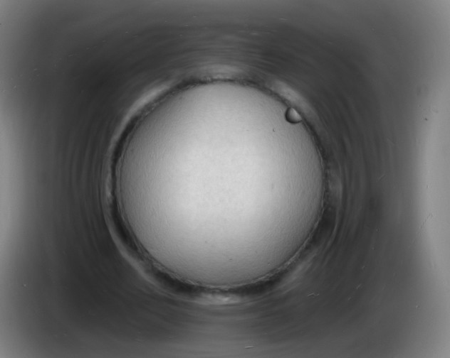 X0000085280582200703301918