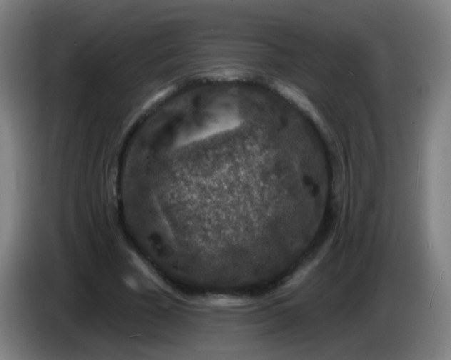 X0000085280585200703301917