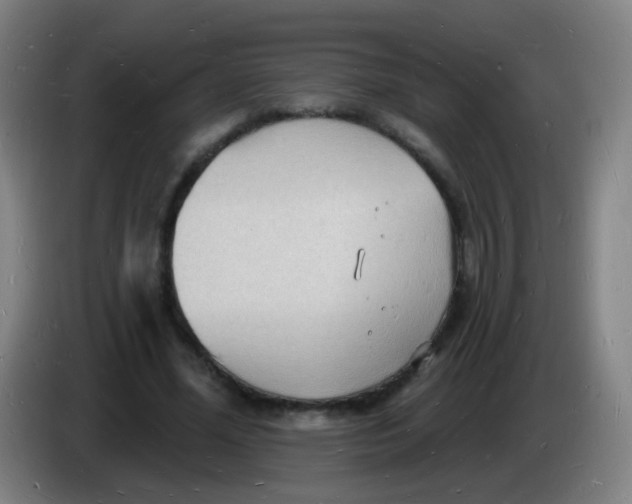 X0000085280588200703301917