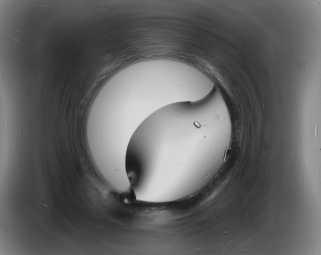 X0000085280589200703301917