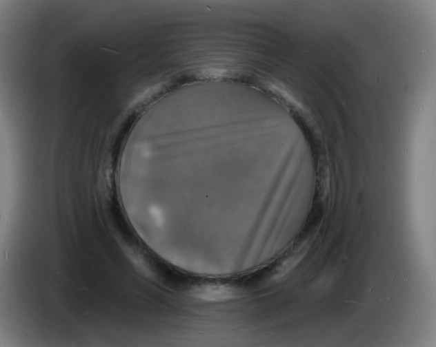 X0000085280590200703301917