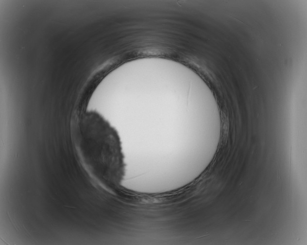 X0000085280591200703301917