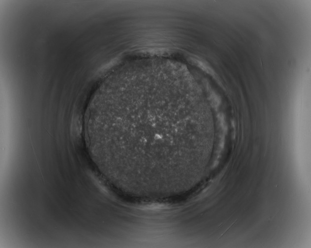 X0000085280593200703301917