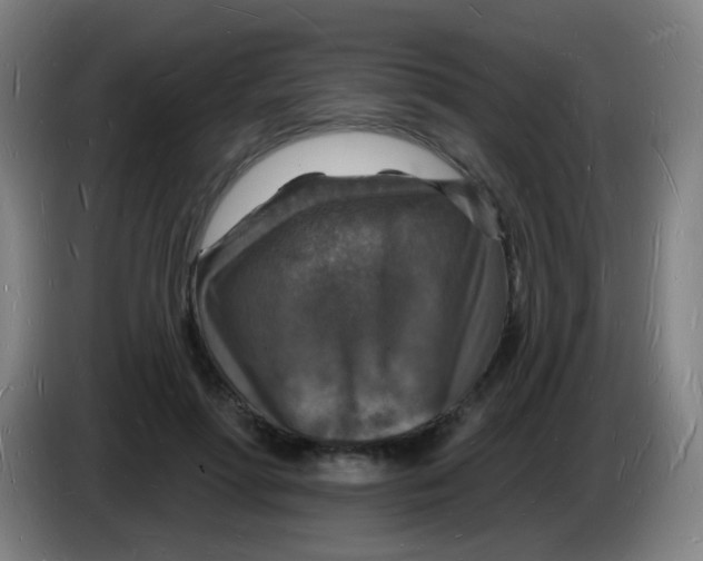 X0000085280598200703301917