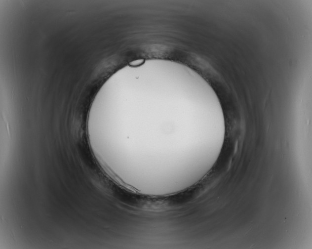 X0000085280599200703301917