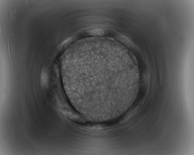 X0000085280600200703301917