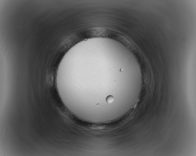 X0000085280602200703301917