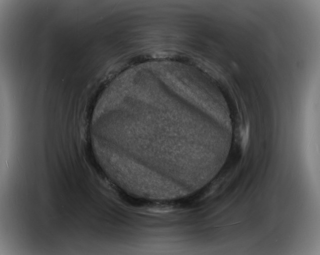 X0000085280604200703301917