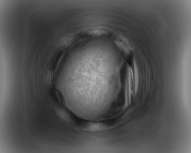 X0000085280605200703301917