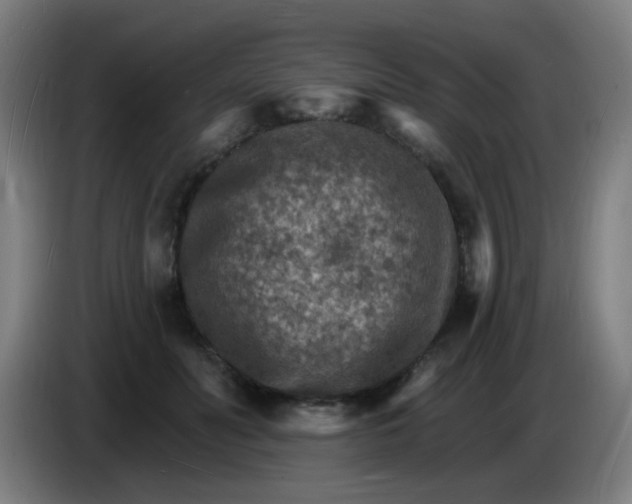 X0000085280606200703301917