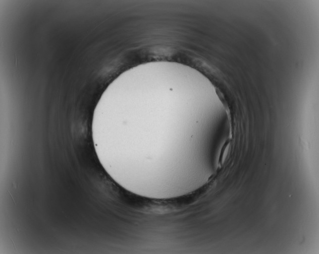 X0000085280608200703301917