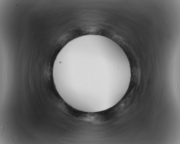 X0000085280612200703301917