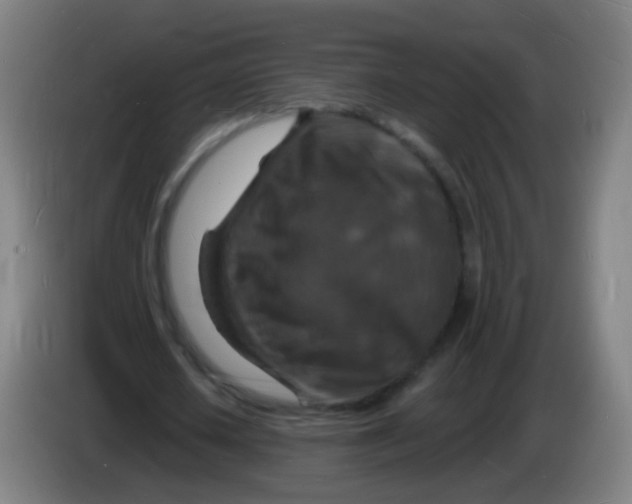 X0000085280626200703301916