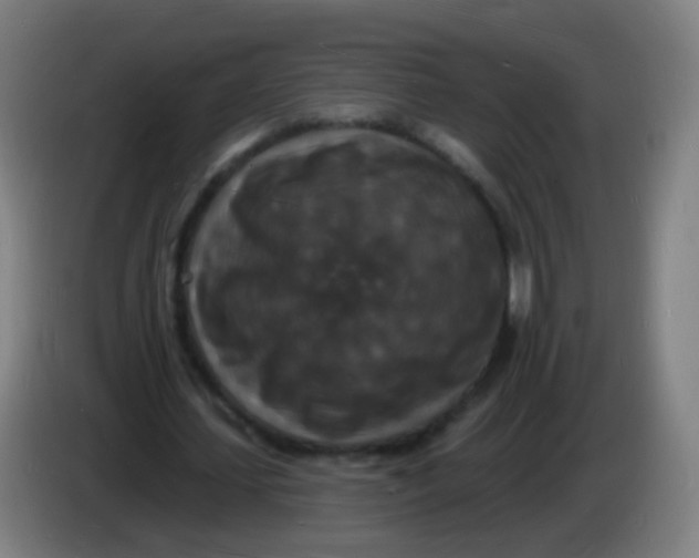 X0000085280627200703301916