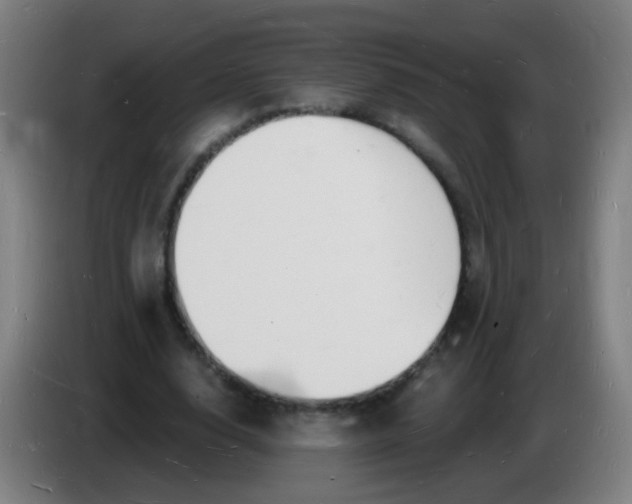 X0000085280632200703301916