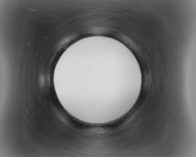 X0000085280636200703301916