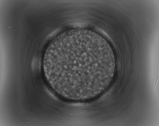 X0000085280637200703301916