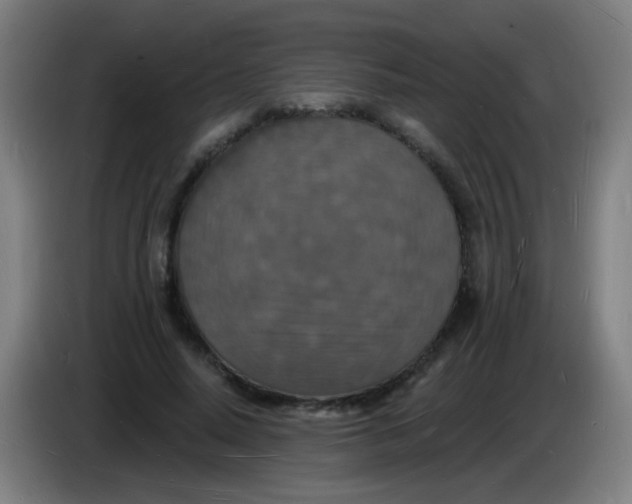 X0000085280640200703301916