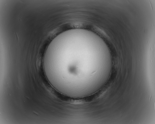 X0000085280645200703301917