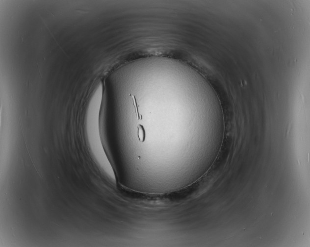 X0000085280646200703301917