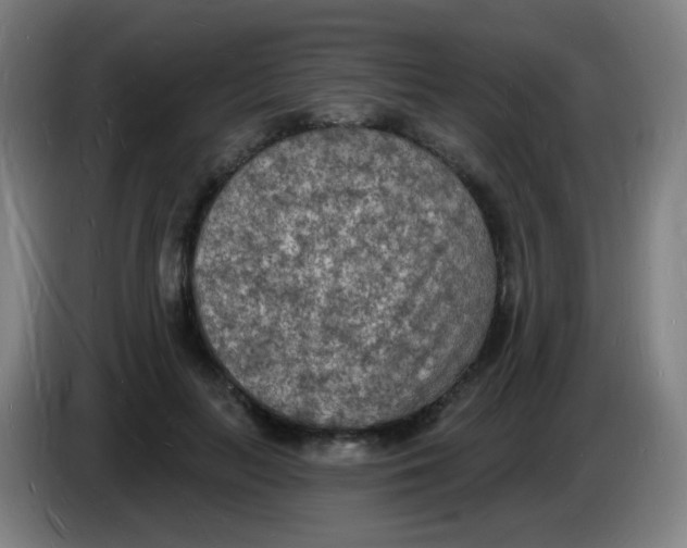 X0000085280647200703301917