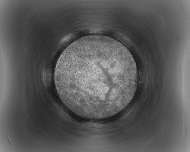 X0000085280648200703301917