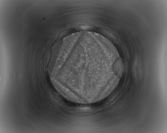 X0000085280651200703301917