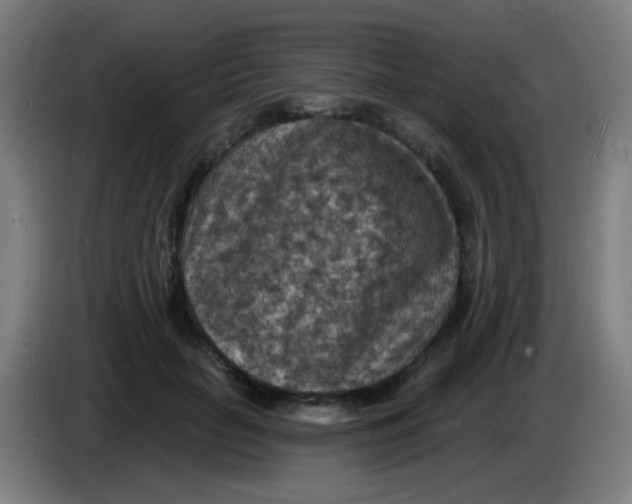 X0000085280653200703301917