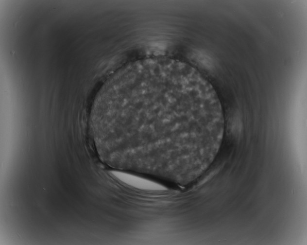 X0000085280661200703301917