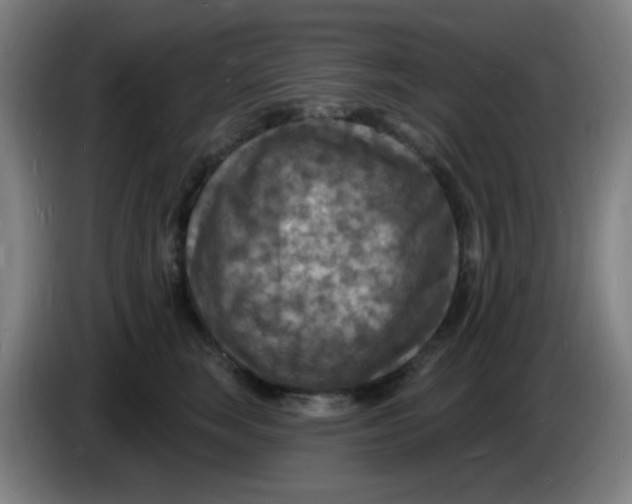 X0000085280663200703301917