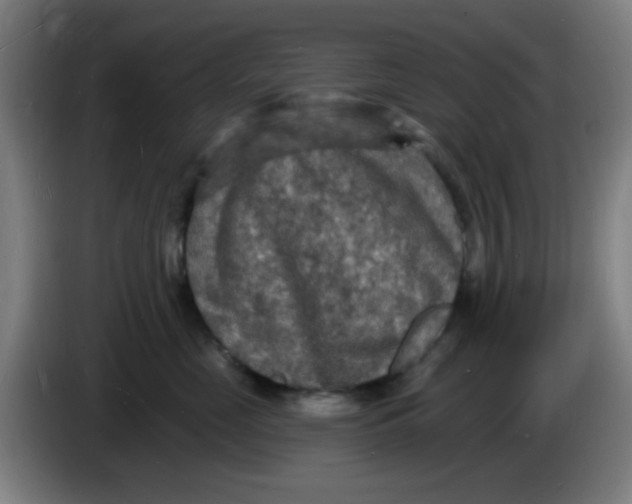 X0000085280669200703301917