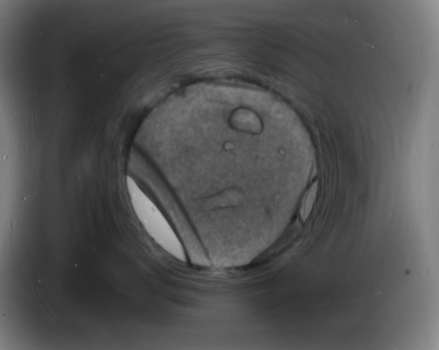 X0000085280672200703301917