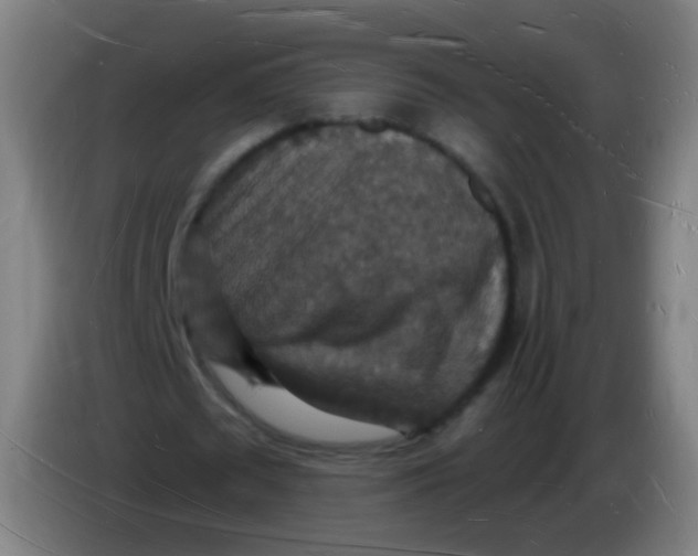 X0000085280673200703301916