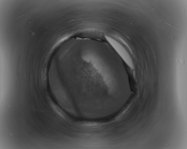 X0000085280677200703301916