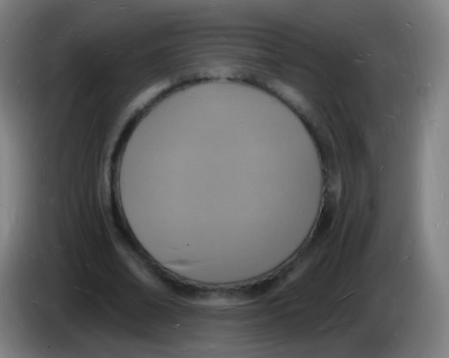 X0000085280678200703301916