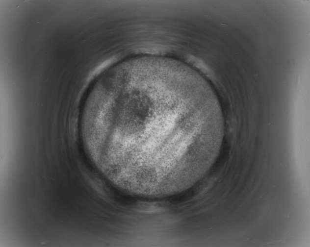 X0000085280679200703301916