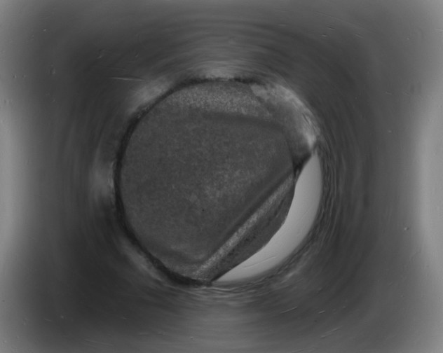 X0000085280681200703301916