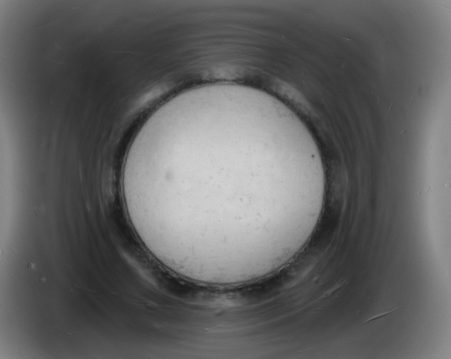 X0000085280683200703301916