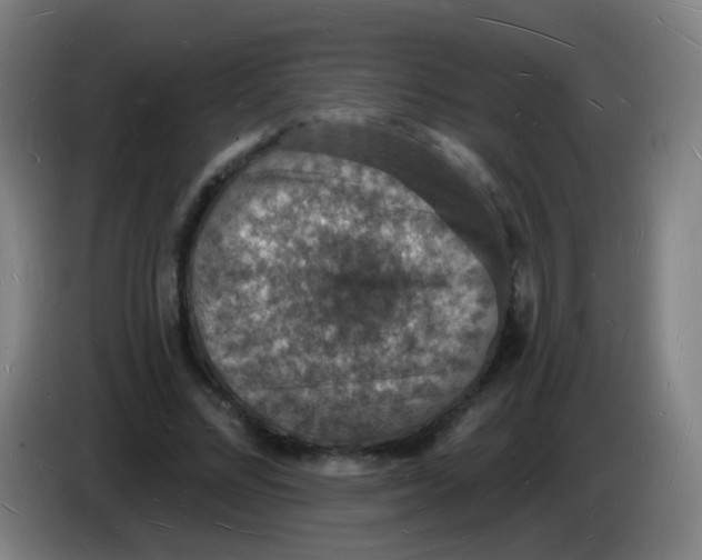 X0000085280684200703301916