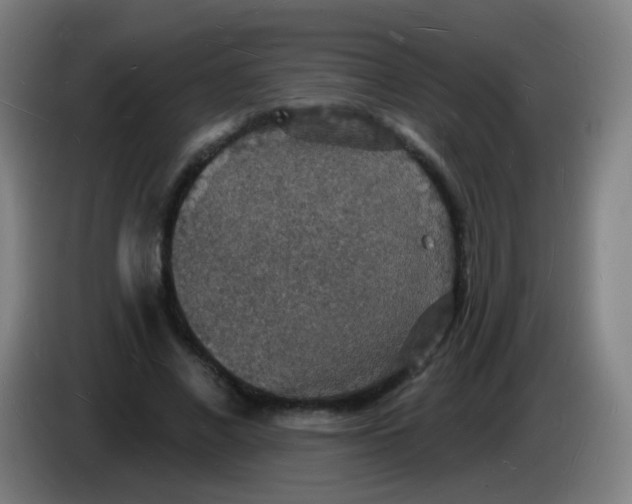 X0000085280685200703301916