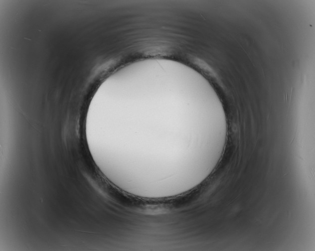 X0000085280686200703301916
