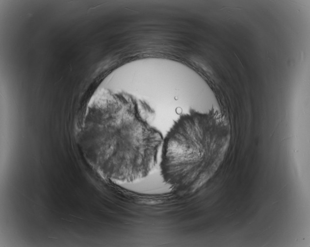 X0000085280687200703301916