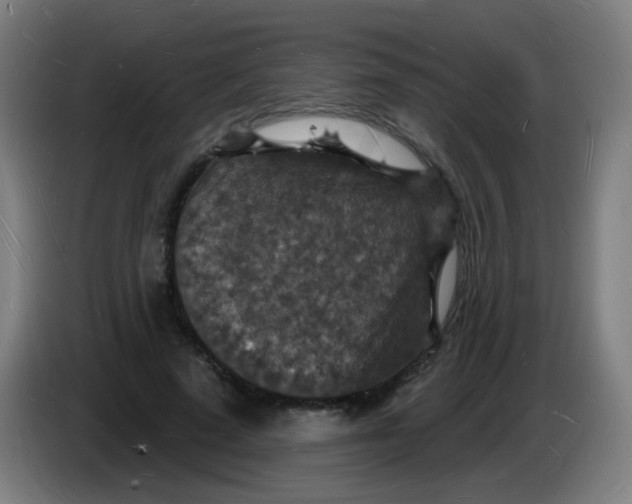 X0000085280689200703301916