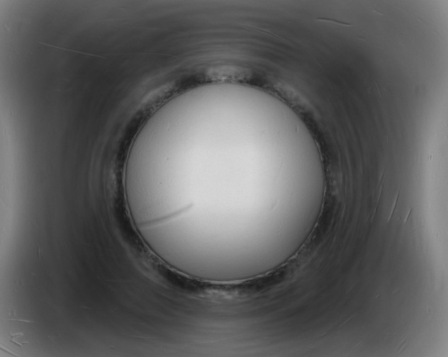 X0000085280690200703301916