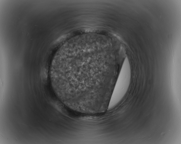 X0000085280691200703301916