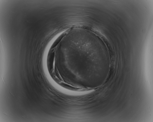 X0000085280692200703301916