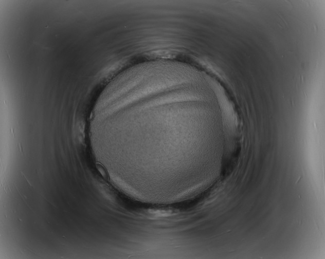 X0000085280693200703301916